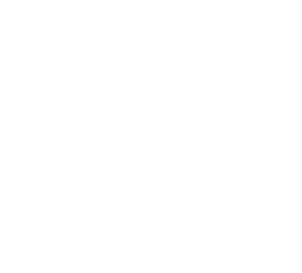 VPN Servisi Kirala