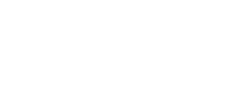 Wordpress Hosting Paketleri
